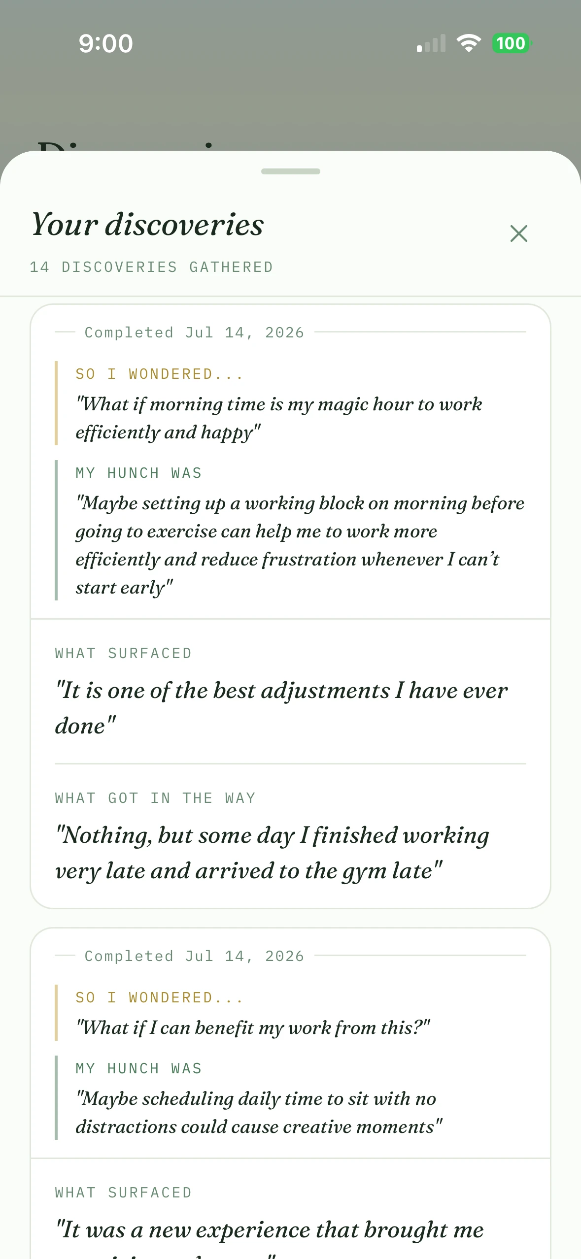 Screenshot of the Muverna app's Your Discoveries screen listing 14 discoveries gathered, including a hunch about a morning work block that turned into one of the best adjustments made